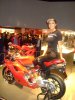 EICMA2006_084.jpg