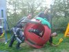 Seriola06_007.jpg