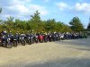 Seriola06_008.jpg