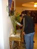 Seriola06_024.jpg
