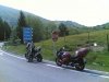 Foto(407)1.jpg